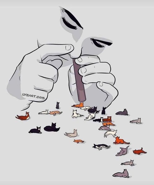 Thumbnail of crbnw-kakrd-865ee5b67f7a4f96 0