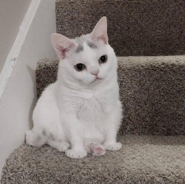 Thumbnail of p-clh0g8yrrzs-86b11b89e4ca40e5 0