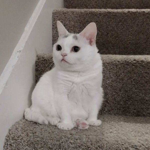 Thumbnail of p-clh0g8yrrzs-86b11b89e4ca40e5 1