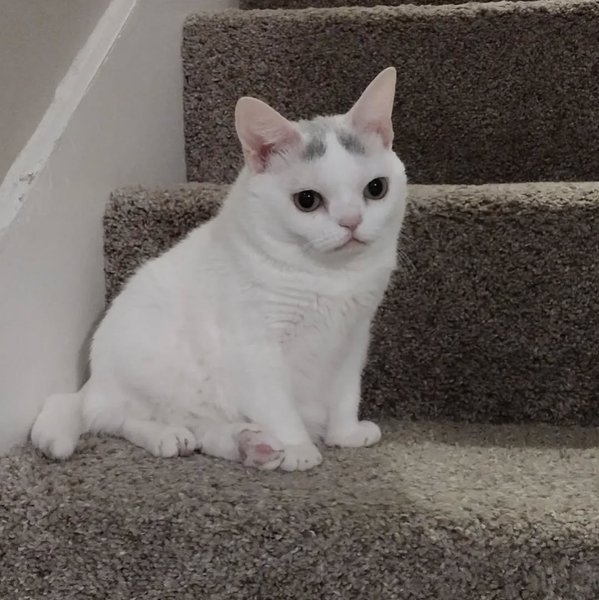 Thumbnail of p-clh0g8yrrzs-86b11b89e4ca40e5 3