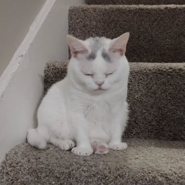 Thumbnail of p-clh0g8yrrzs-86b11b89e4ca40e5 5