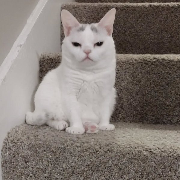 Thumbnail of p-clh0g8yrrzs-86b11b89e4ca40e5 6