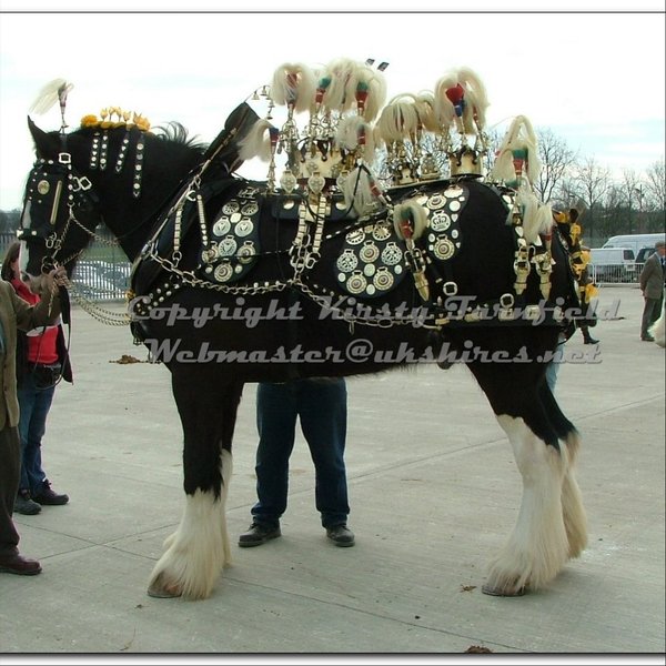 Thumbnail of p-dqws422cn4q-86ea631c937647f3 6