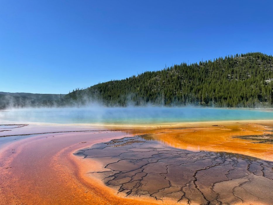 Thumbnail of www-x-com-dunkhippo33-status-1552857109166899201-870292546ce446f8