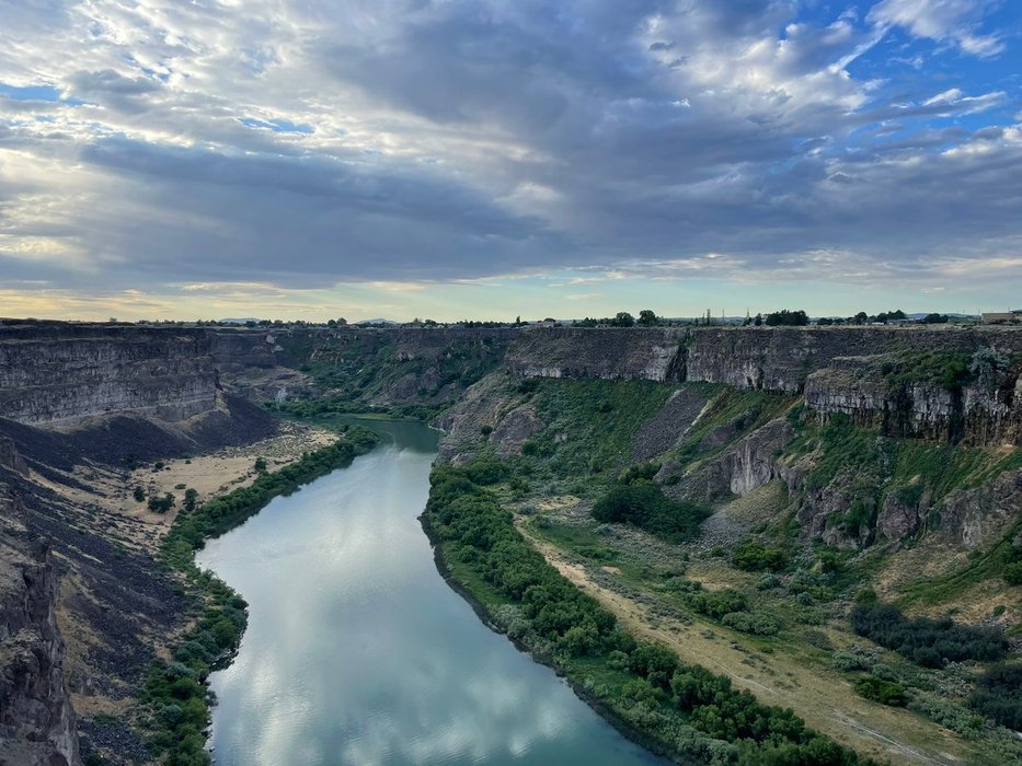 Thumbnail of www-x-com-dunkhippo33-status-1552857109166899201-870292546ce446f8