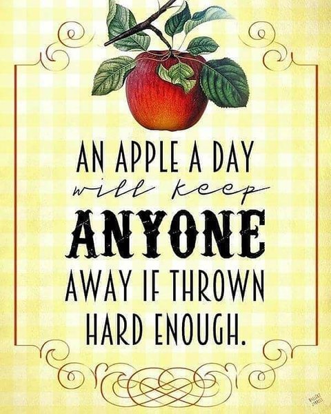 Thumbnail of btmp1-hbdf9-871fb5916b844355 2