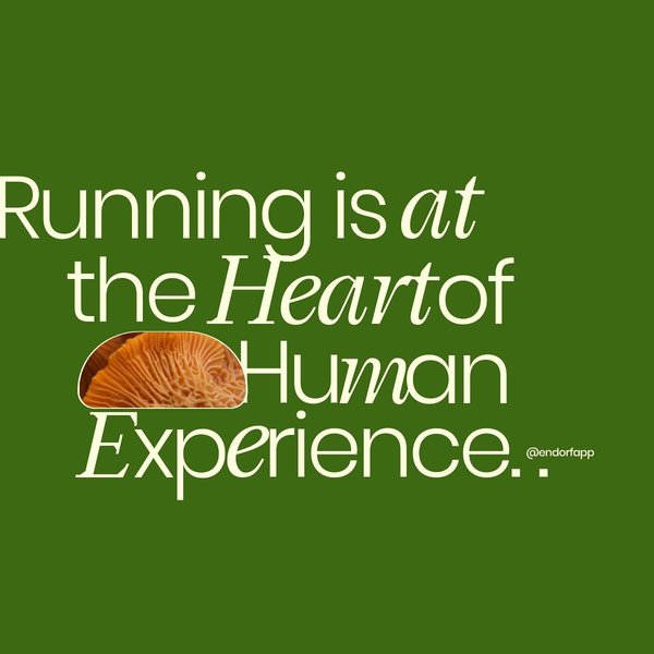 Thumbnail of p-cjob2wooprj-8736d5bceca44b39 0