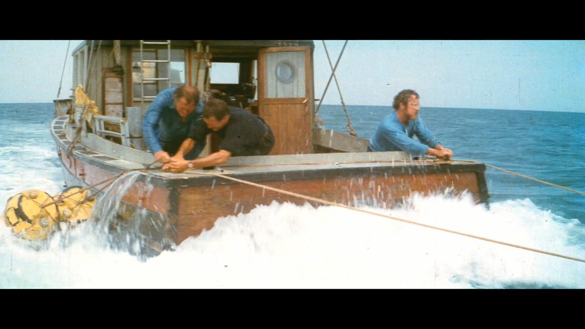 Thumbnail of www-x-com-chungking151994-status-1995151267392622706-8766e21b52d84064