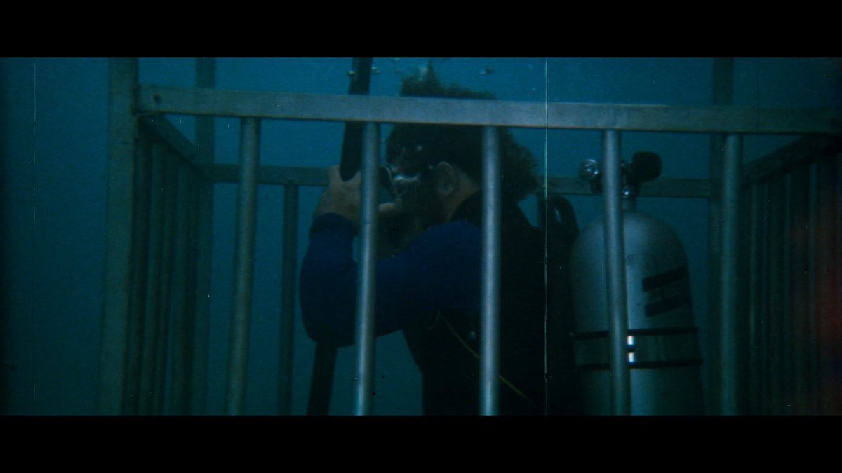 Thumbnail of www-x-com-chungking151994-status-1995151267392622706-8766e21b52d84064