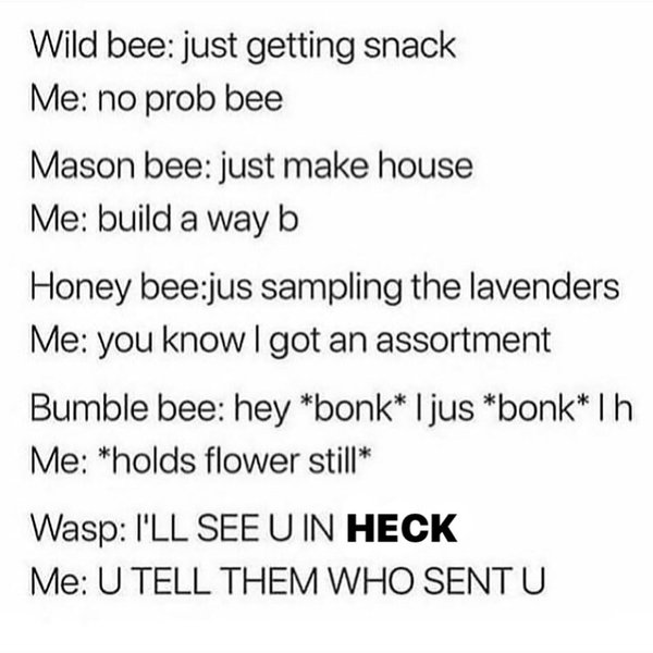 Thumbnail of p-b5otdu7lybf-87985aa9a68d43c9 5