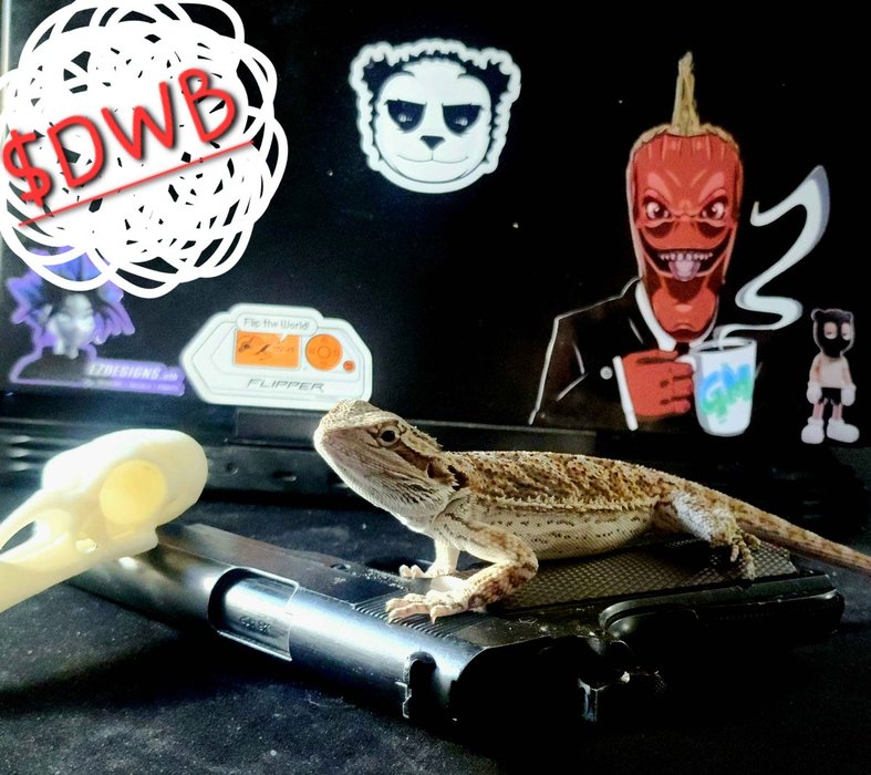 Thumbnail of www-x-com-howieduhzit-status-1867341182998626465-87a0c5f6417f497a