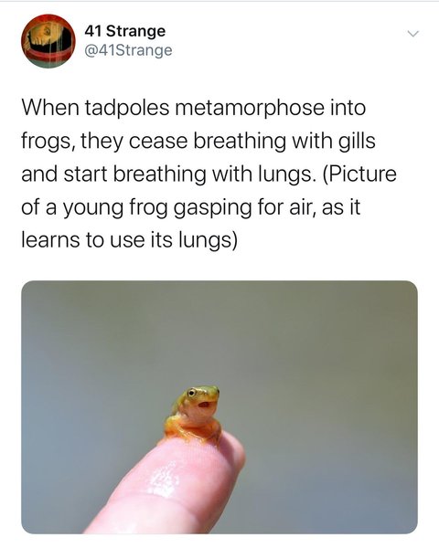 Thumbnail of b6-g3wwflrj-87ac93d6177b4715 0