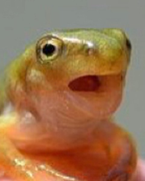 Thumbnail of b6-g3wwflrj-87ac93d6177b4715 1