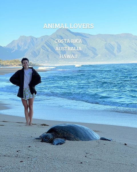 Thumbnail of p-dfvrvvluiz5-881132c83b2a496d 5