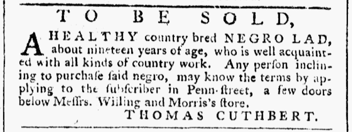 Thumbnail of www-x-com-slaveadverts250-status-1615831522140987396-8814d7bf3c514962