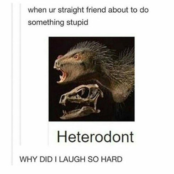 Thumbnail of p-boqur1uf0yg-8845186ccbeb4298 1