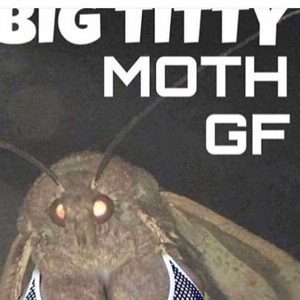 Thumbnail of p-boqur1uf0yg-8845186ccbeb4298 2