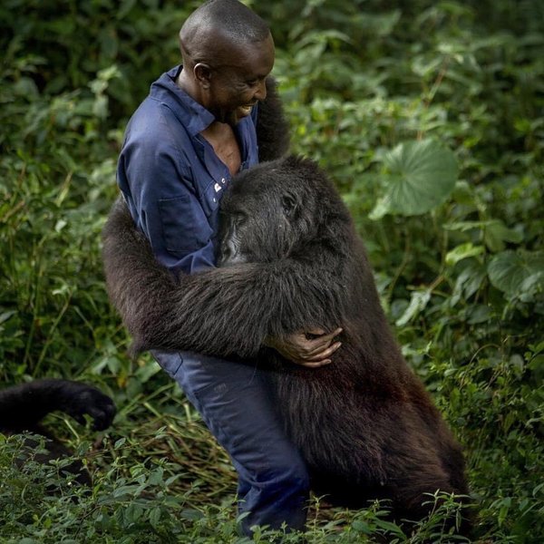 Thumbnail of p-chnscpwrohy-88477becad28464a 0