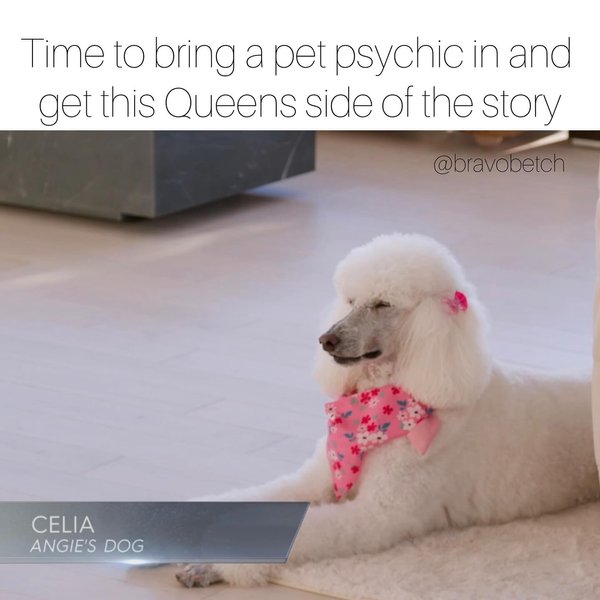 Thumbnail of p-dqhz4rwei08-88589f37373f4297 1