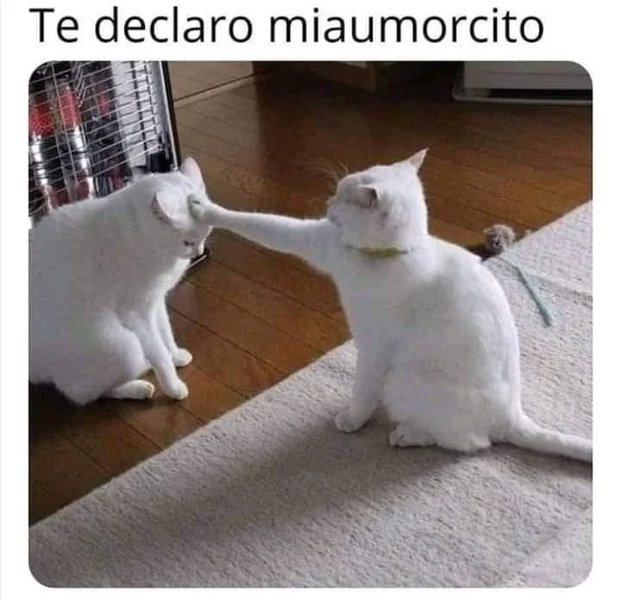 Thumbnail of p-cabgleev00s-887793fce42540da 0