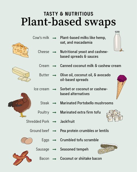 Thumbnail of p-chq6kepdfah-8880f25e6d654a3f 0