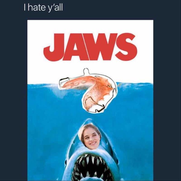 Thumbnail of p-b4dwnirfr0y-88aacd0903184d87 4