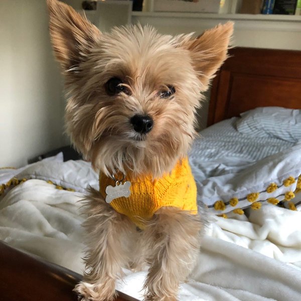 Thumbnail of p-b4dwnirfr0y-88aacd0903184d87 9