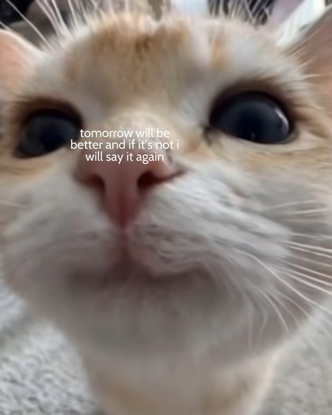 Thumbnail of p-dj9psl0onvn-88ff3584c1af4103 5