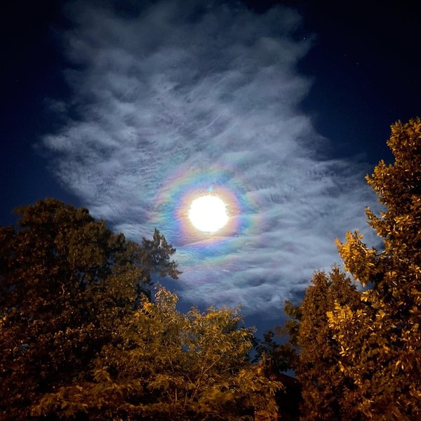 Thumbnail of p-czfandts72c-8923eccb66e44445 4