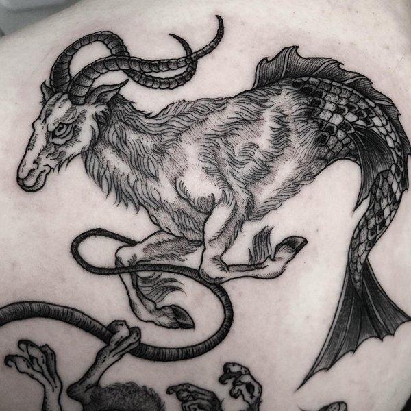 Thumbnail of ccvsa-7t6vc-893d9694f24e4426 1