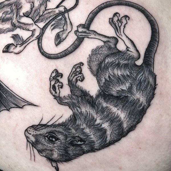 Thumbnail of ccvsa-7t6vc-893d9694f24e4426 2