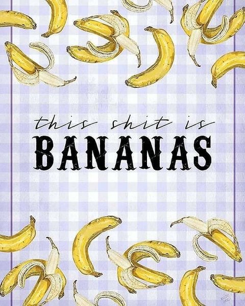 Thumbnail of b-xs2cghdin-894914bb67a443e0 0