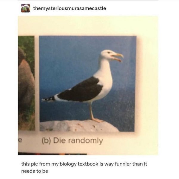 Thumbnail of p-b1j5cjngxbz-894ffad30f074ba9 8