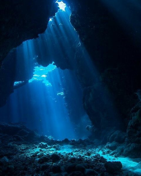 Thumbnail of bei-ujiloki-89768e3e306c46c8 0