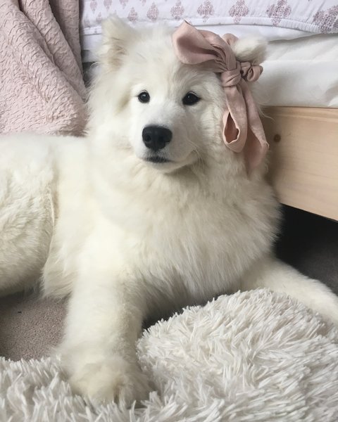 Thumbnail of p-ceeqmrdjdtb-89e9a2cc3bd44b92 0