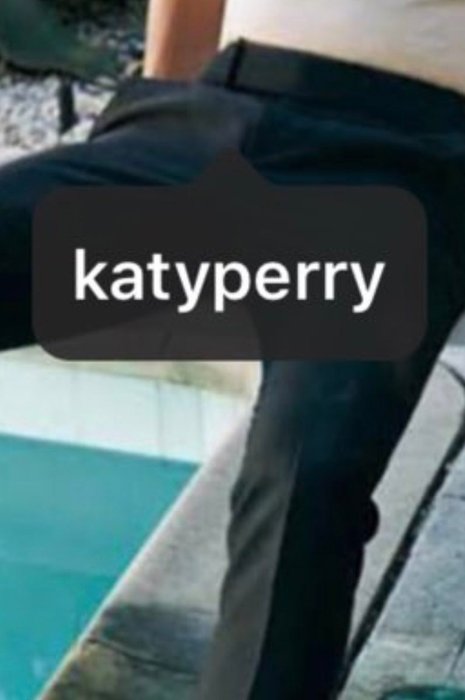 Thumbnail of www-x-com-perrygagaswifty-status-1114247862899040257-8a049bb9b3ee47d1