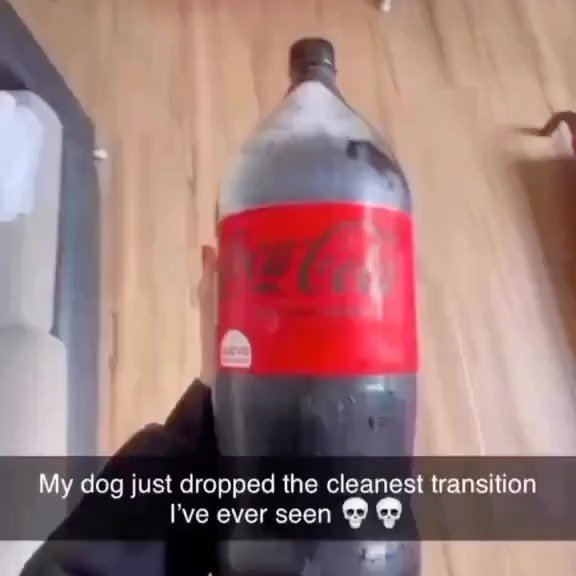 Thumbnail of p-cqlux6vvnjm-8a4b17ab612d4229 6