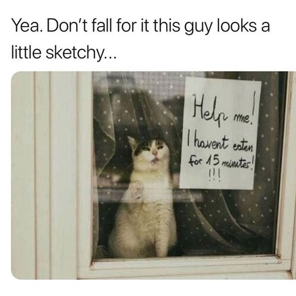 Thumbnail of p-b1gwqvfnprh-8a894c1d572b4700 0