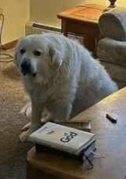 Thumbnail of www-x-com-relavver-status-1958714774759285180-8ac41d201fee44b8