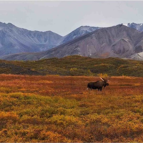 Thumbnail of p-cwi6qlgpotb-8ac8c07a1bbb4694 1