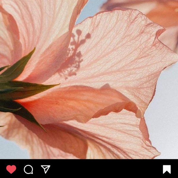 Thumbnail of p-cn1oxsfb9ch-8ad26815d9fb4b6b 1