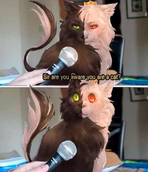 Thumbnail of p-cvokto9fv6b-8afccc32535e47d8 0