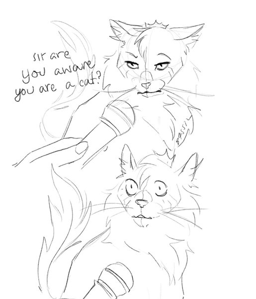 Thumbnail of p-cvokto9fv6b-8afccc32535e47d8 2