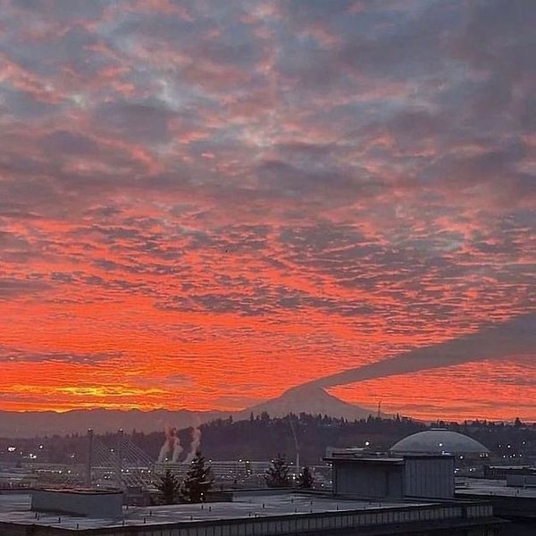 Thumbnail of p-cvfcbvdsq2u-8b04ad1375eb48b4 1