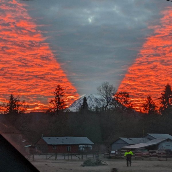 Thumbnail of p-cvfcbvdsq2u-8b04ad1375eb48b4 2