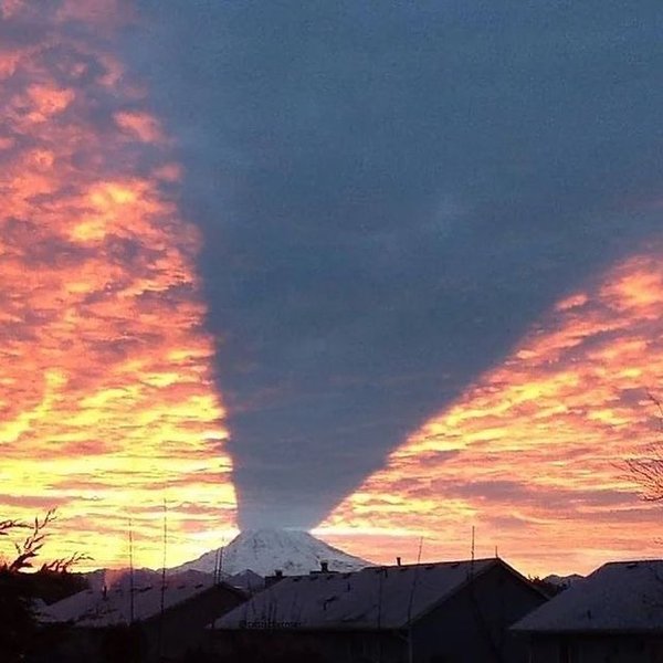 Thumbnail of p-cvfcbvdsq2u-8b04ad1375eb48b4 3