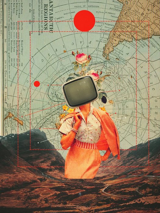 Thumbnail of www-x-com-frank-moth-status-1571760034253602820-8b944e2b7cc645f7