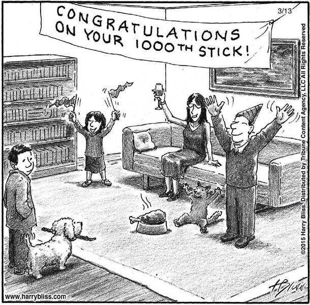 Thumbnail of p-cwjfgkklt8-8ba79dcda43b4a74 0