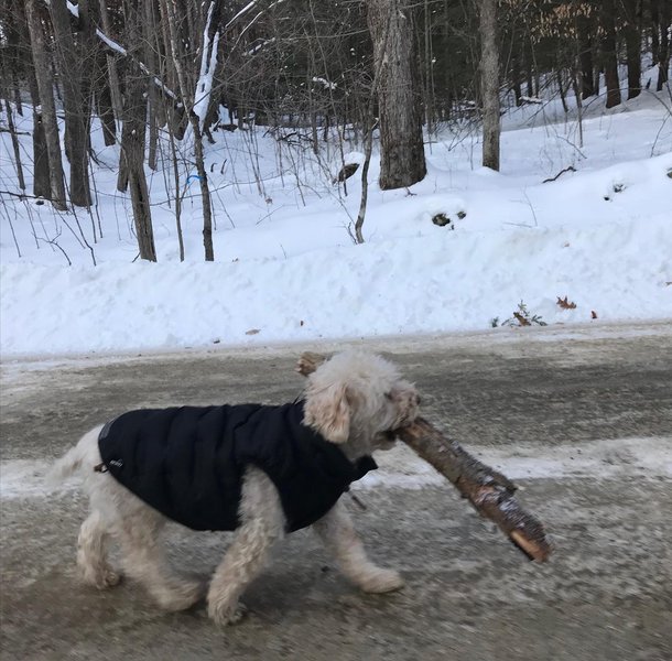 Thumbnail of p-cwjfgkklt8-8ba79dcda43b4a74 1