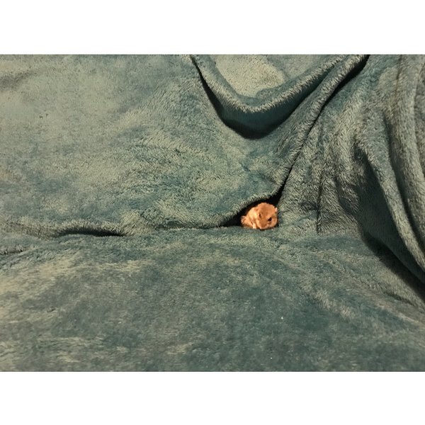 Thumbnail of p-ban6htlg9hp-8bc99675cce64ace 3